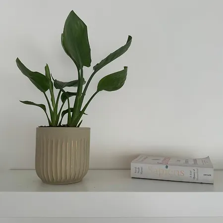 Cosy, Proche Stade De France Apartment